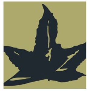Bob Jackson Landscapes Inc - Logo