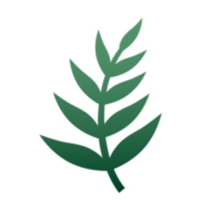 Center for Effective Treatment - Logo