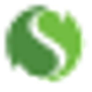 Heidi Carver - Stellar Realty NW - Logo