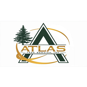 Atlas Tree Service Inc. - Tree service in Concord