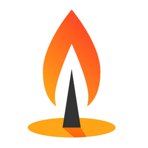 Executive Chandelier Services - Logo