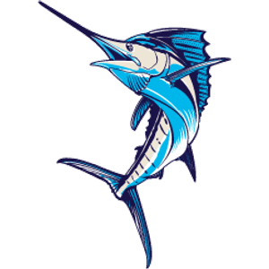 Coastal Outfitters Sport Fishing Charters - Logo