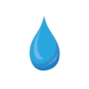 Certified Water and Mold - Logo