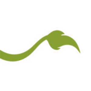 Lionheart Children's Academy at Revive Church - Logo