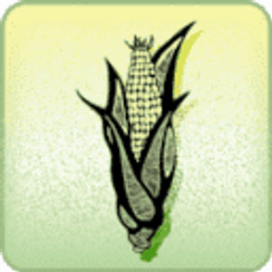 The Husk
