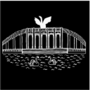 Selling Swan City