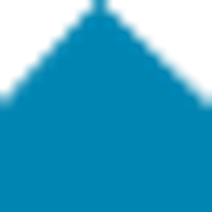 Price Homes Inspections - Logo