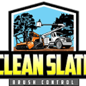 Clean Slate Brush Control