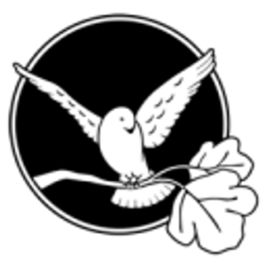 CAHOOTS - Logo