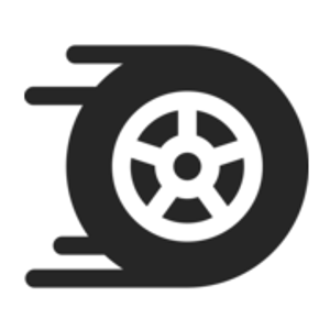 Shavney Automotive - Logo