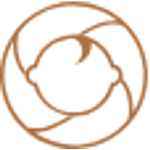Little Life Studio