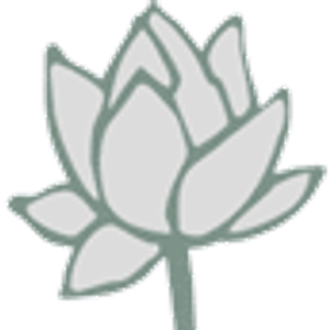 Newtime Massage Santa Rosa - Logo