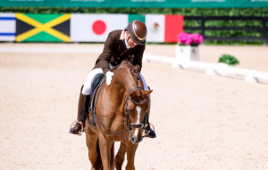 Coalcyn Equestrian, LLC - Logo