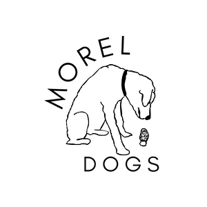 Wilson's Dog Training - Logo