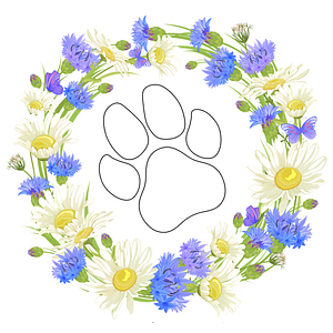 Pawsitive Play, LLC - Logo
