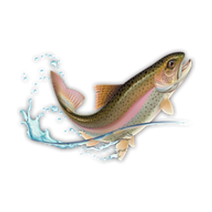 Five Dot Fly Fishing Club - Logo