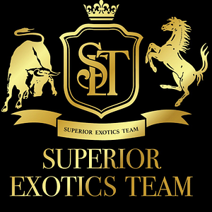Superior Exotics Team Customs and Collision