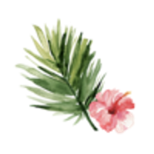 Myrtle Beach Wedding Officiant - Logo
