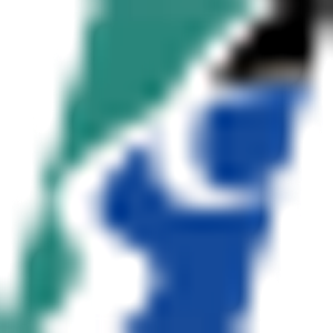 Stanislaus Regional 911 - Logo