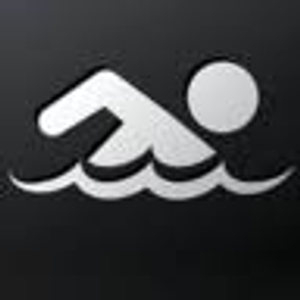 Allison Companies, Inc. - Logo