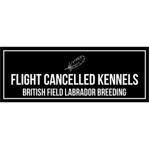 Flight Cancelled Kennels