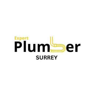 Expert Plumber Surrey - Logo