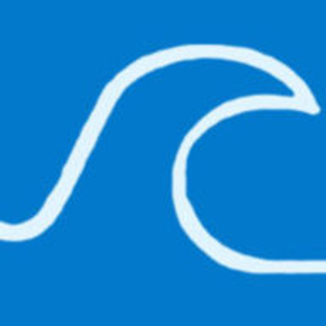 Chiropractic Works - Logo