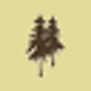 County Wood Stoves - Logo