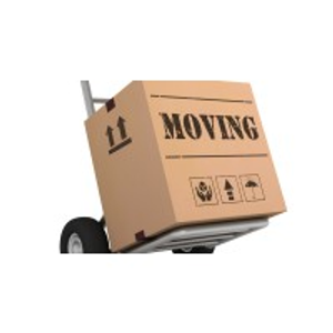 Golden Services LLC