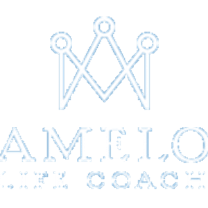Camelot Life Coach - Logo
