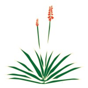 Durango Nursery & Supply Inc - Logo