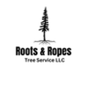 Roots & Ropes Tree Service - Tree service in Bellingham