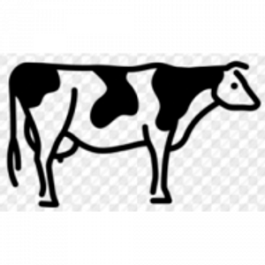 Clinton Veterinary Clinic
