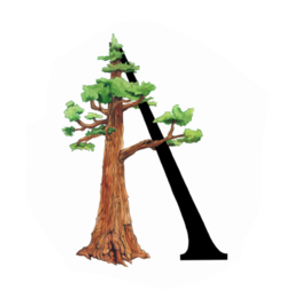 Arbormann LLC
