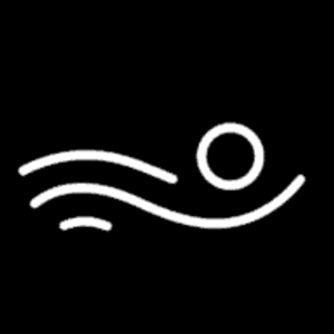 Landmark Custom Pools - Logo
