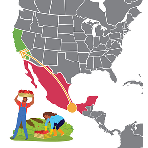 Mixteco/Indigena Community Organizing Project (MICOP) - Proyecto Mixteco/Indigena - 135 Magnolia Ave. Oxnard - Logo