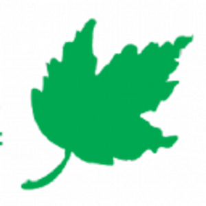 Tuskawilla Trails - Logo