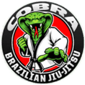 Cobra Brazilian Jiu-Jitsu - Martial arts school in Plano