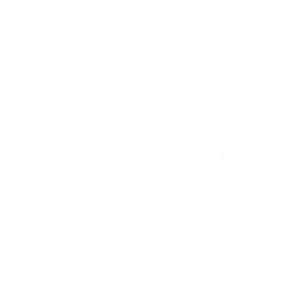 RIZER - Logo