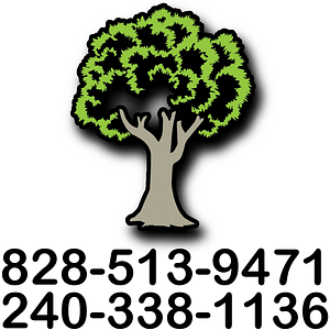 Y & J Landscaping & Tree Services LLC