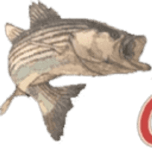 Stripers Plus - Logo