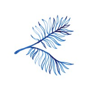 Two Bunch Palms