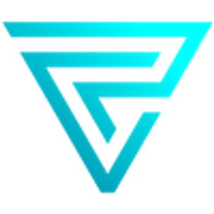 Pauly Campanaro, The Vision Realty Group-Austin Texas - Logo