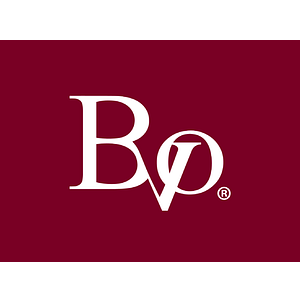 BVO Luxury Group