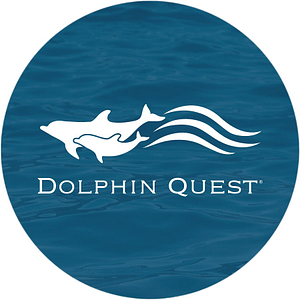 Dolphin Quest Oahu