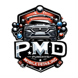 Punchys Mobile Detailing LLC