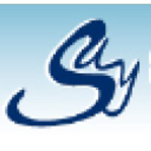 Say Cargo Express - Logo
