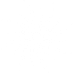 Somatic Reboot