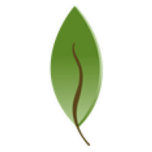 Tacoma Chiropractic Health Connection - Massage therapist in Tacoma