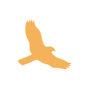 HawkSoft User Group - Logo